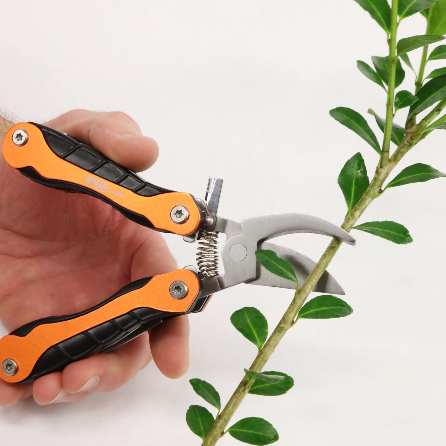AccuSharp Sportsman's Multi-Tool with Pruner/Game Clippers and Multitool, Hunting Tools, Camping, Hiking, Fishing, Outdoor